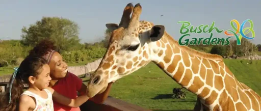 Busch Gardens v2