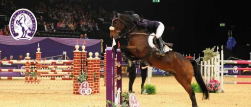 Horse Of The Year v2