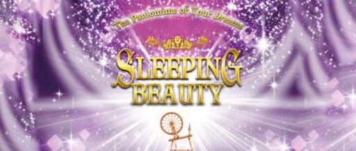 Panto - Sleeping Beauty - Limerick