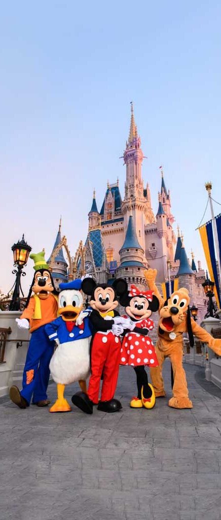 Mickey, Minnie, Donald, Goofy And Pluto v1 - Vertical