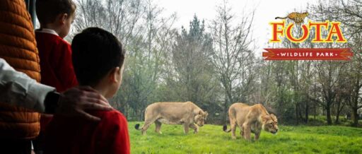 Fota Wildlife Park