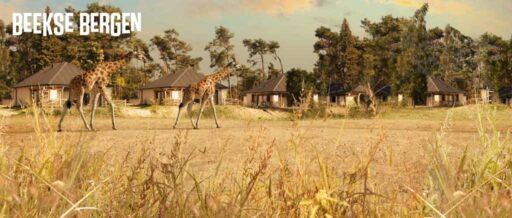 Netherlands - Beekse Bergen